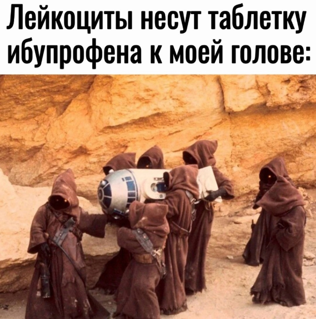 Невыспавшийся кот мем