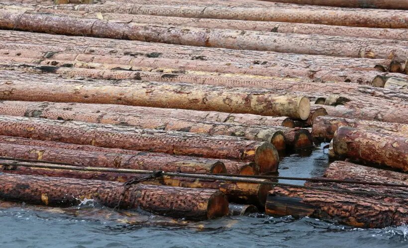     © РИА Новости. Илья Наймушин