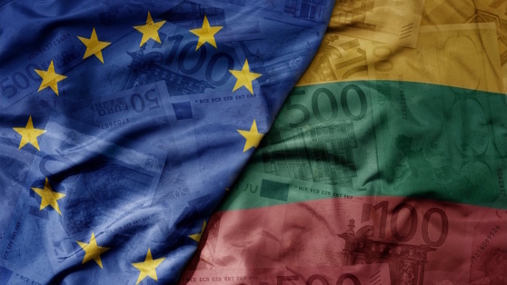    В Литве группу из 26 человек подозревают в присвоении €6 млн помощи ЕС Виктория Шварц