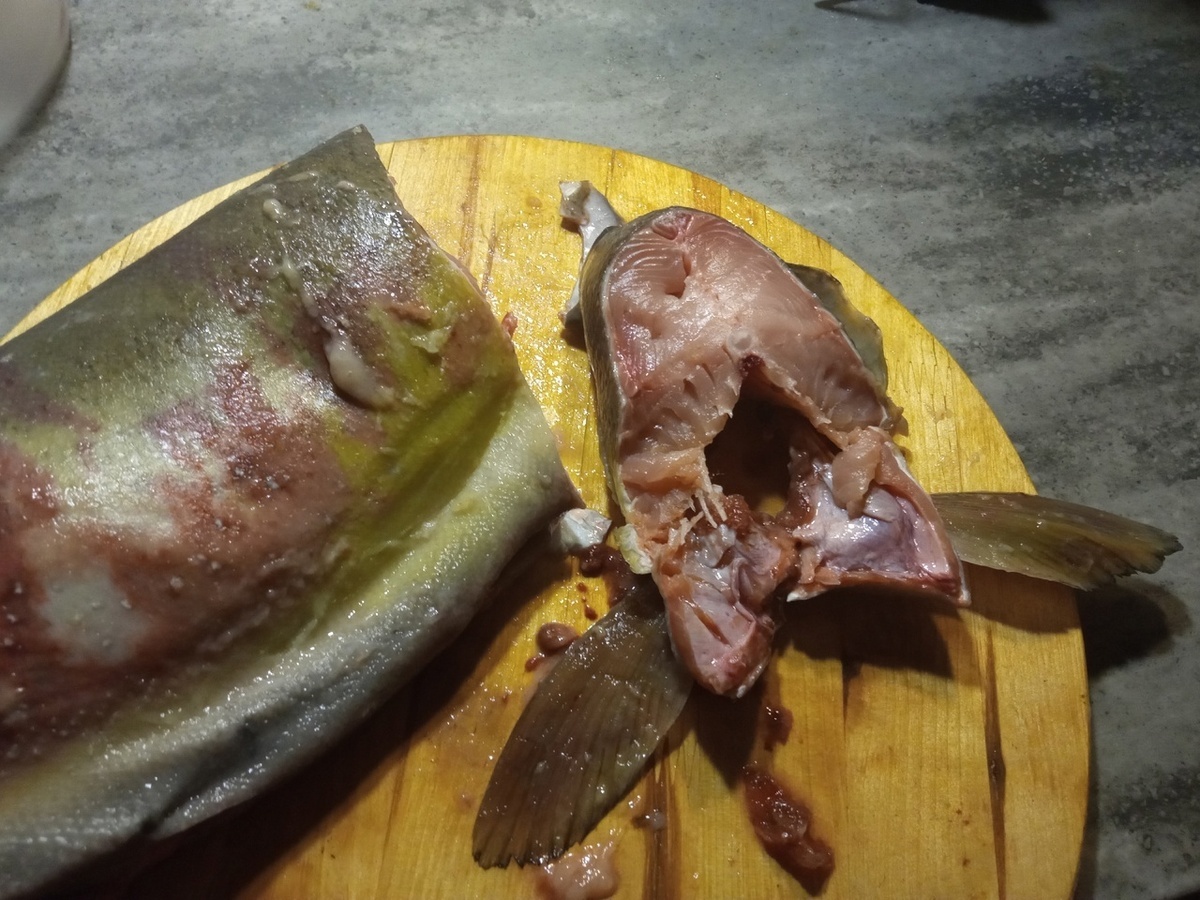 Этот кусок с плавниками отправился в суповой набор.