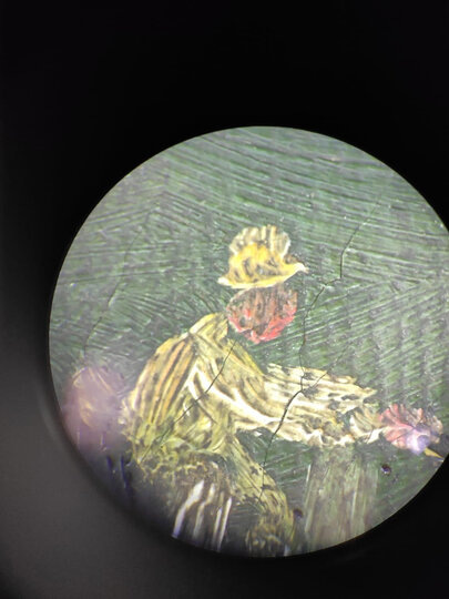    пресс-служба Музея-усадьбы "Рождествено"