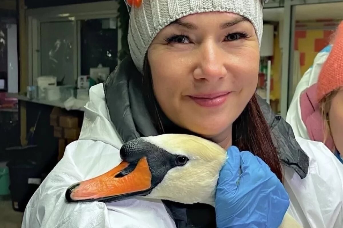    Лариса Шульц и лебедь.