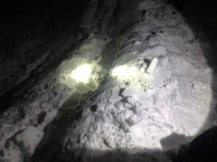 Тот самый овраг. Фото: Следком по Красноярскому краю и Хакасии 