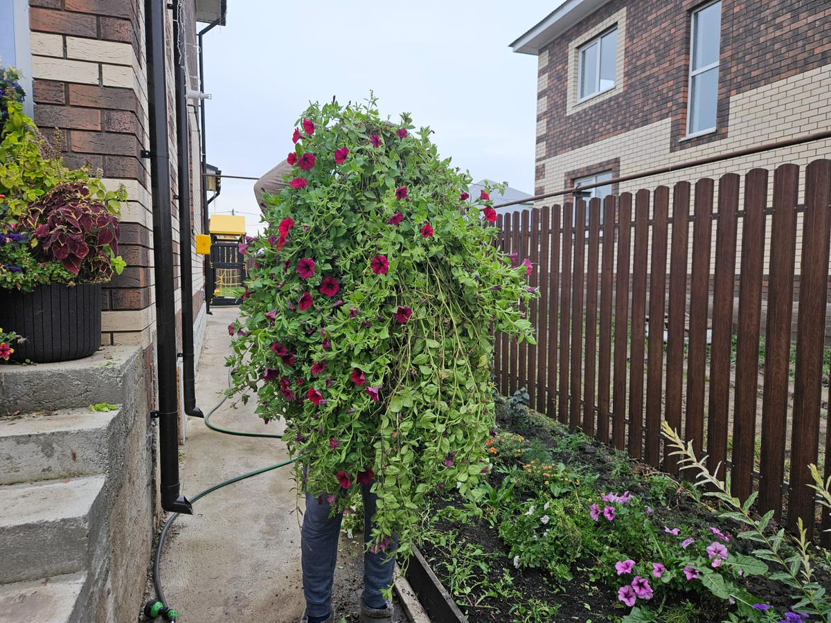 Автор статьи, когда хочет скрыться от глаз соседей))))))