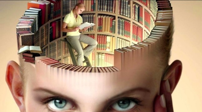 Фото из интернета 