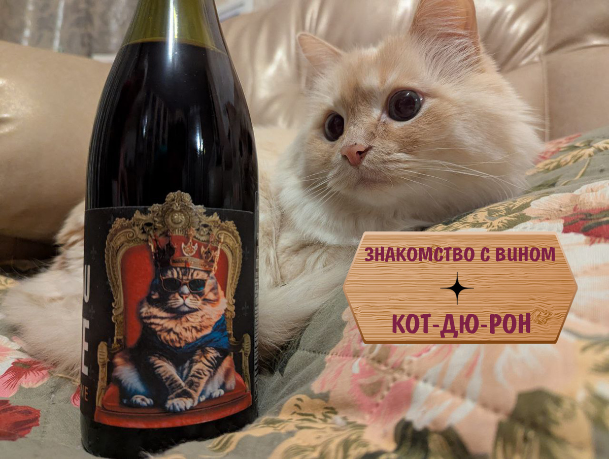 Котам нравится Кот-дю-Рон (Côtes du Rhône)