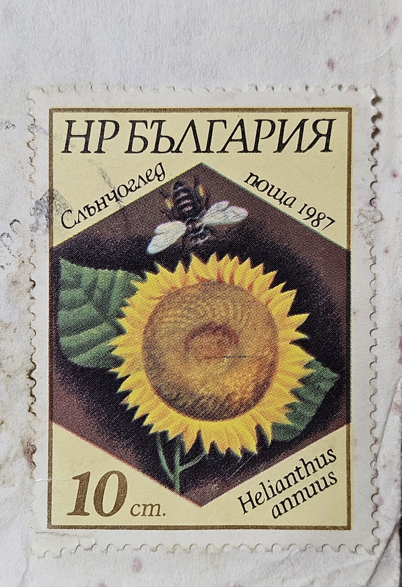 Письмо из Болгарии (фотография автора)