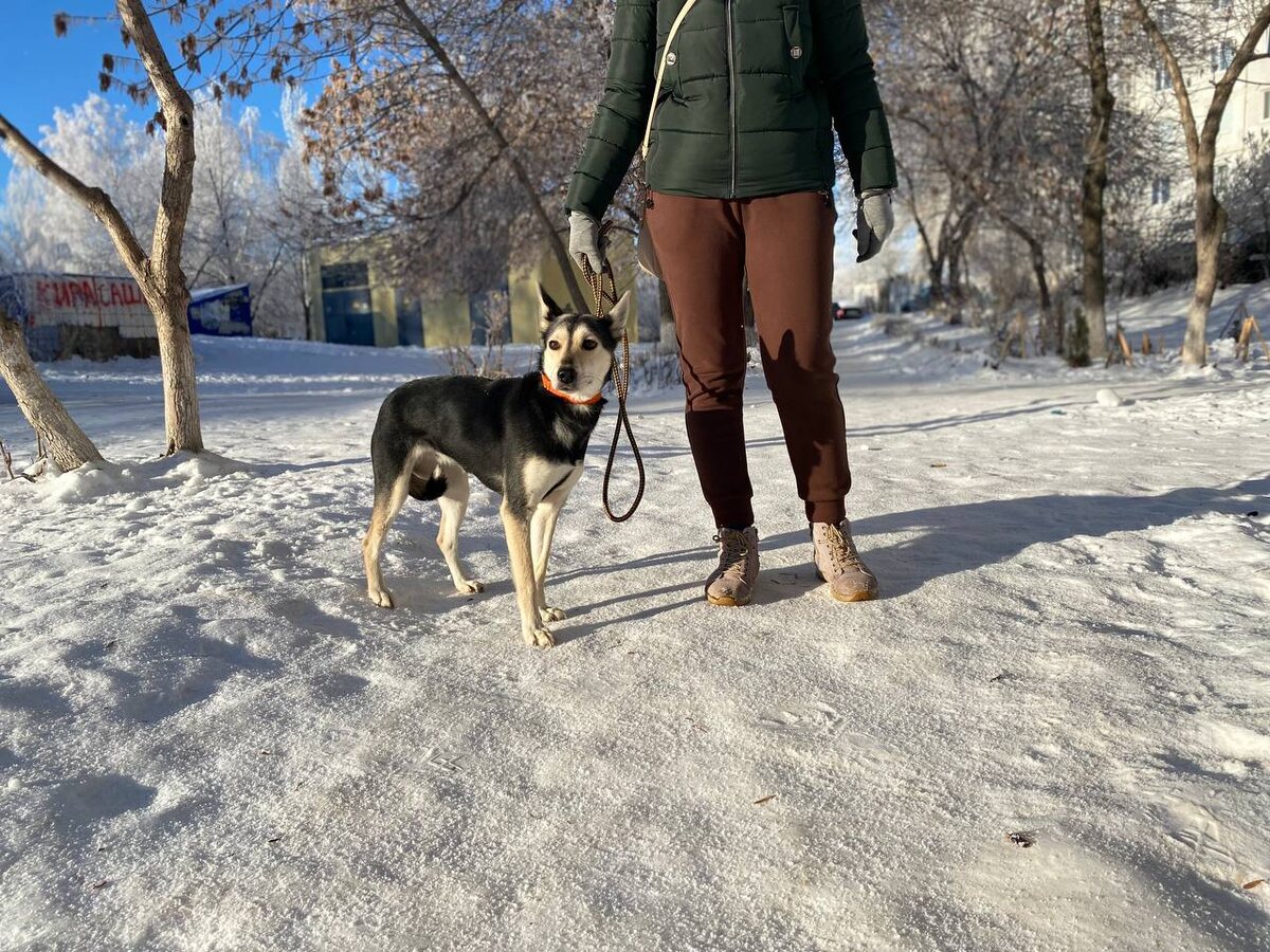 На фото крупнее, чем в жизни