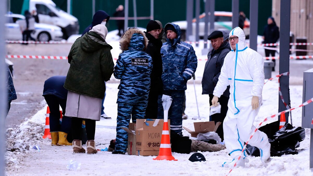    Фото: Roman Naumov/globallookpress.com