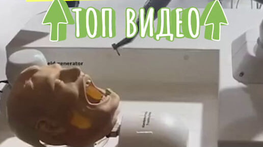 Правда робот