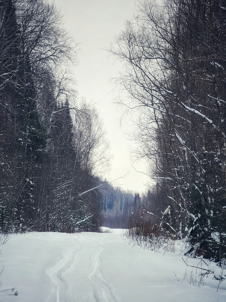 Фото автора канала "Удивительный мир живой природы "