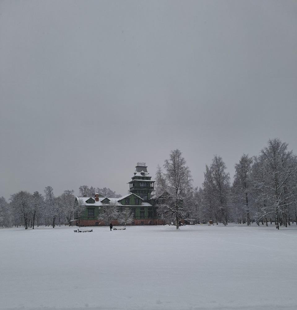 Вспоминая волшебное снежное начало января