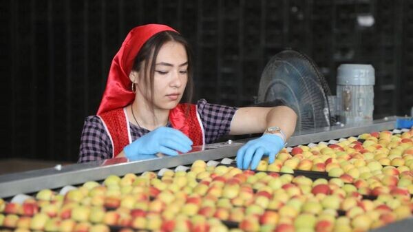    © Foto / Пресс-служба председателя Согдийской области