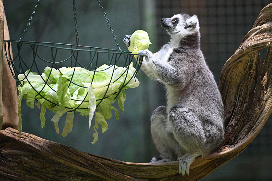    © Кирилл Зыков/РИА Новости