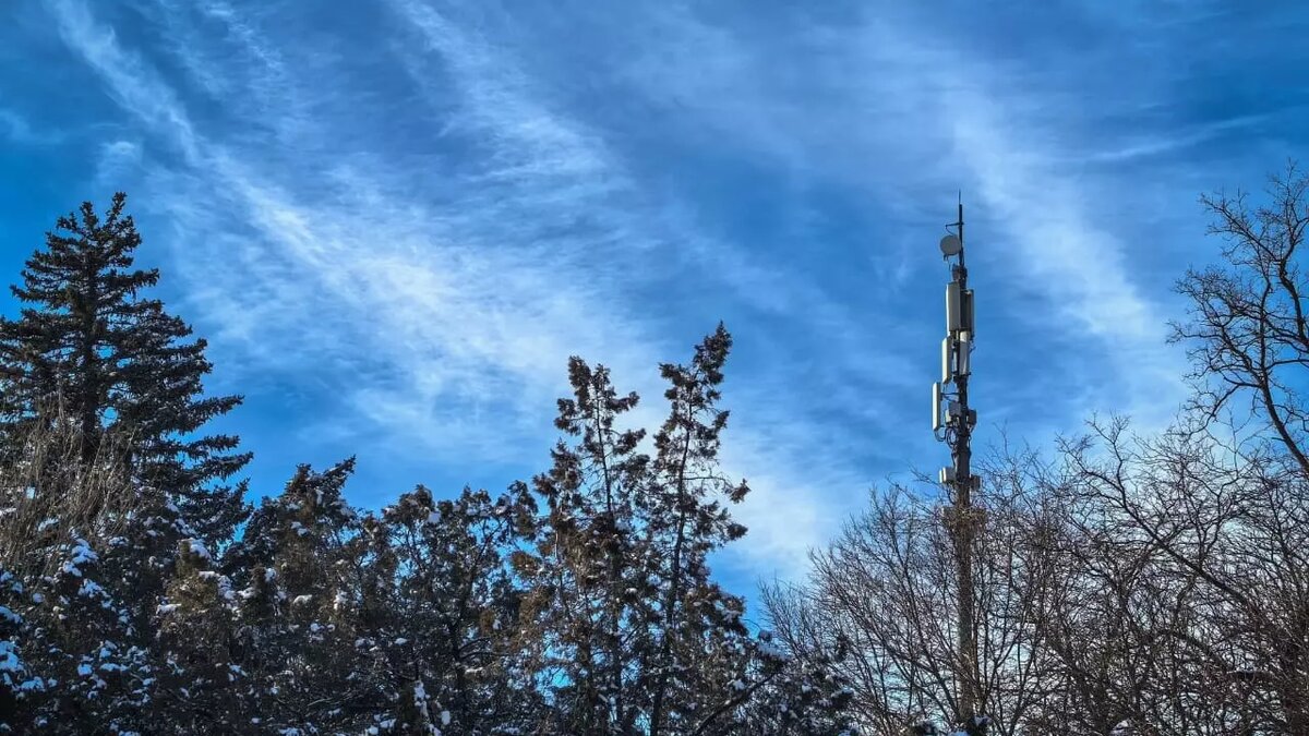     Источник: МТС