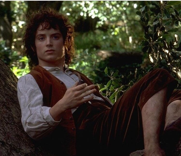 Молодой Фродо