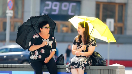    Вильфанд указал, что последнее десятилетие стало самым теплым в мире за весь период наблюдений за погодой Ирина Петрова