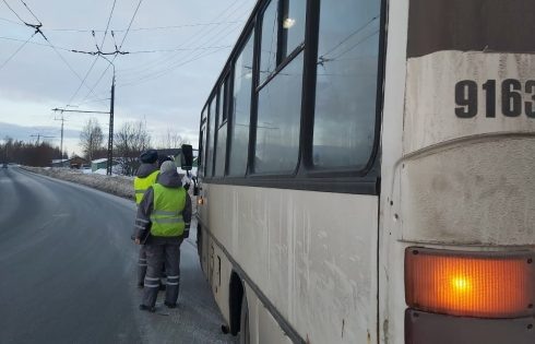     Фото: Администрация Петрозаводского городского округа