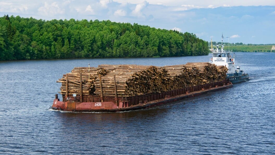    Фото: Sergey Smirnov /Globallookpress