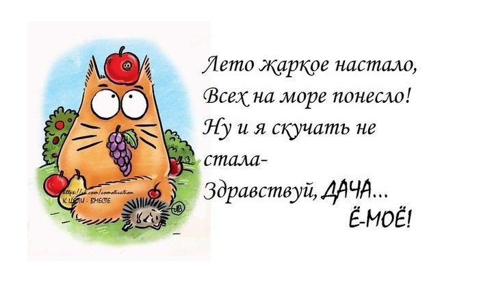 Фото из интернета.