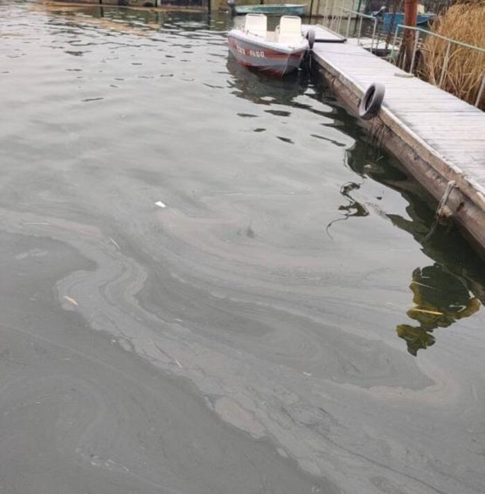 Источник фото: Минприроды РО