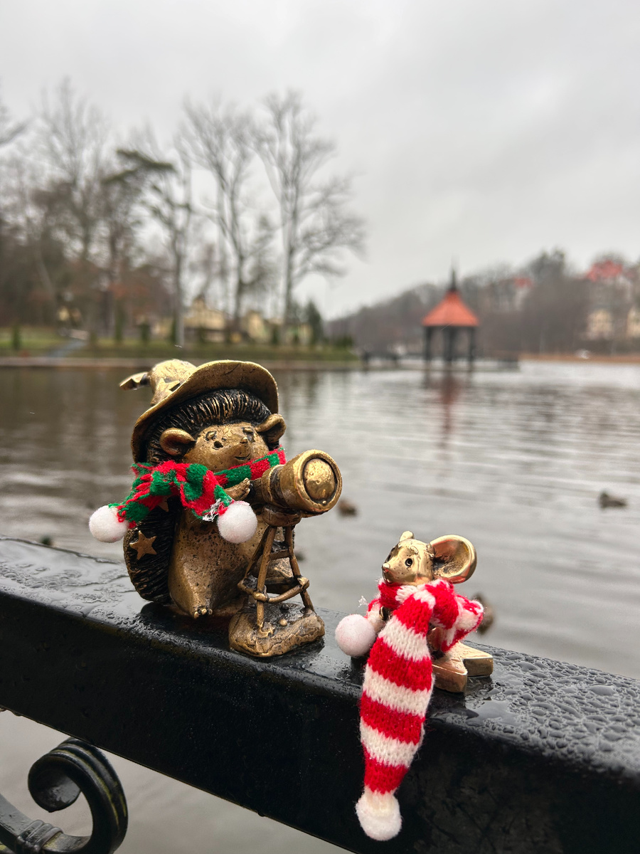 Светлогорск (личное фото)