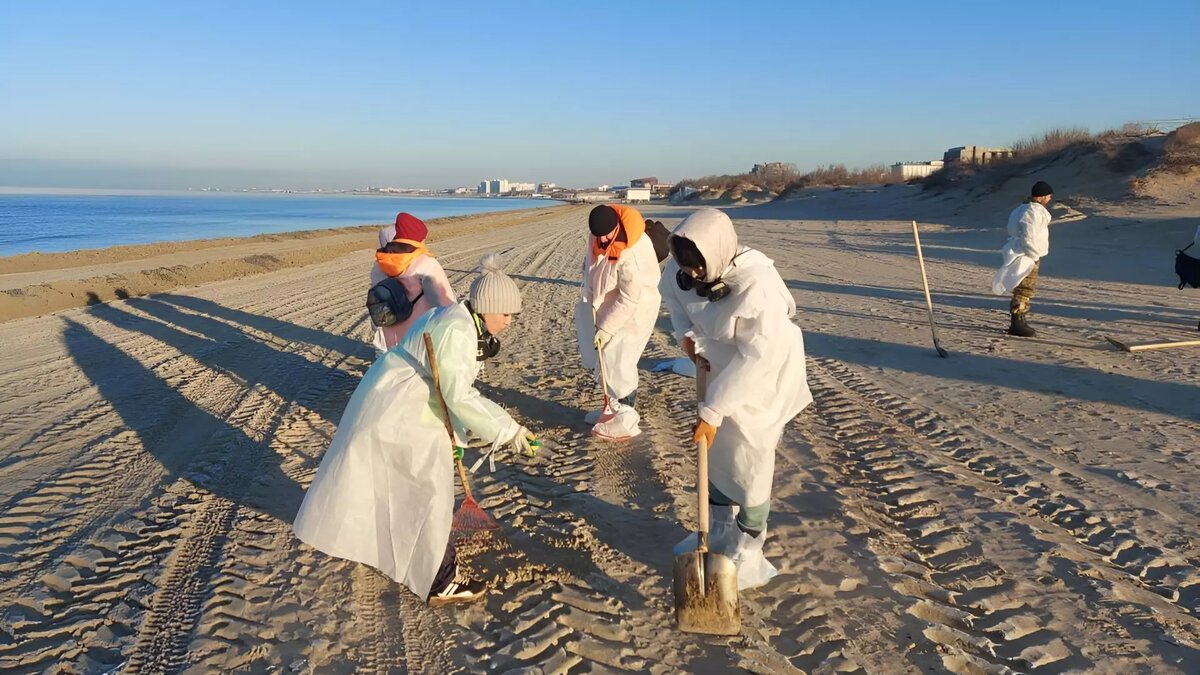     Автор: Оперштаб Кубани