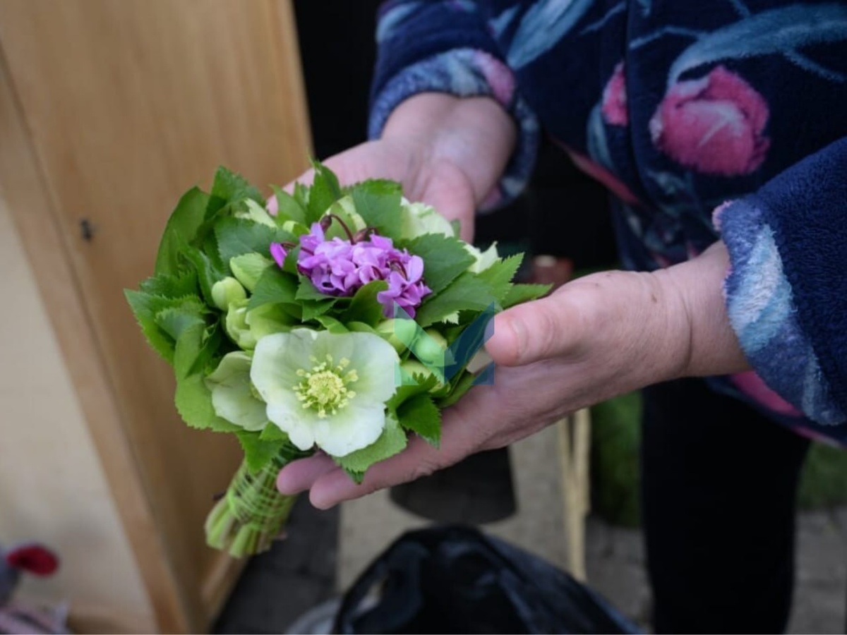    Фото: Telegram/МЦУ Сочи