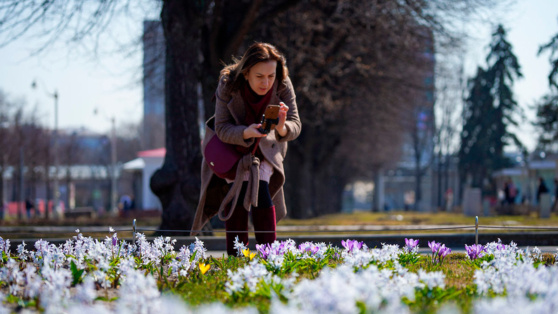    В Гидрометцентре озвучили предварительный прогноз погоды на весну для Москвы Ирина Петрова