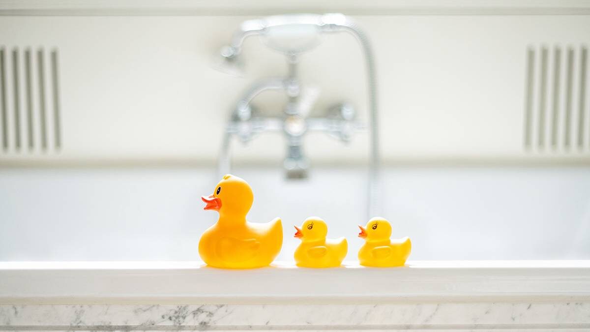    Фото: shutterstock