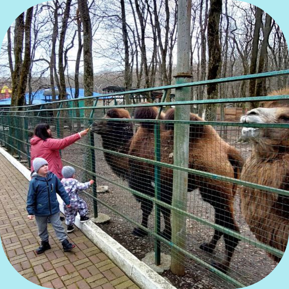 Д̠р̠у̠ж̠е̠л̠ю̠б̠н̠ы̠е̠ в̠е̠р̠б̠л̠ю̠д̠ы̠.