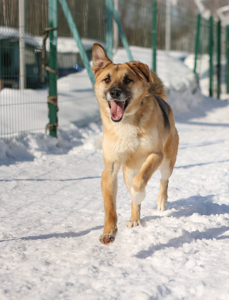 Странные вы люди. Ищите всю жизнь самое хорошее, а рядом такое не замечаете. Вот же Я!