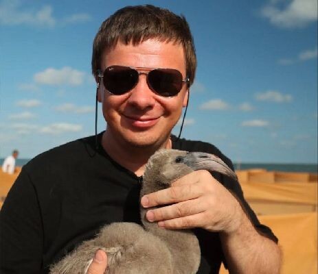    Журналист Дмитрий Комаров (фото: социальные сети)