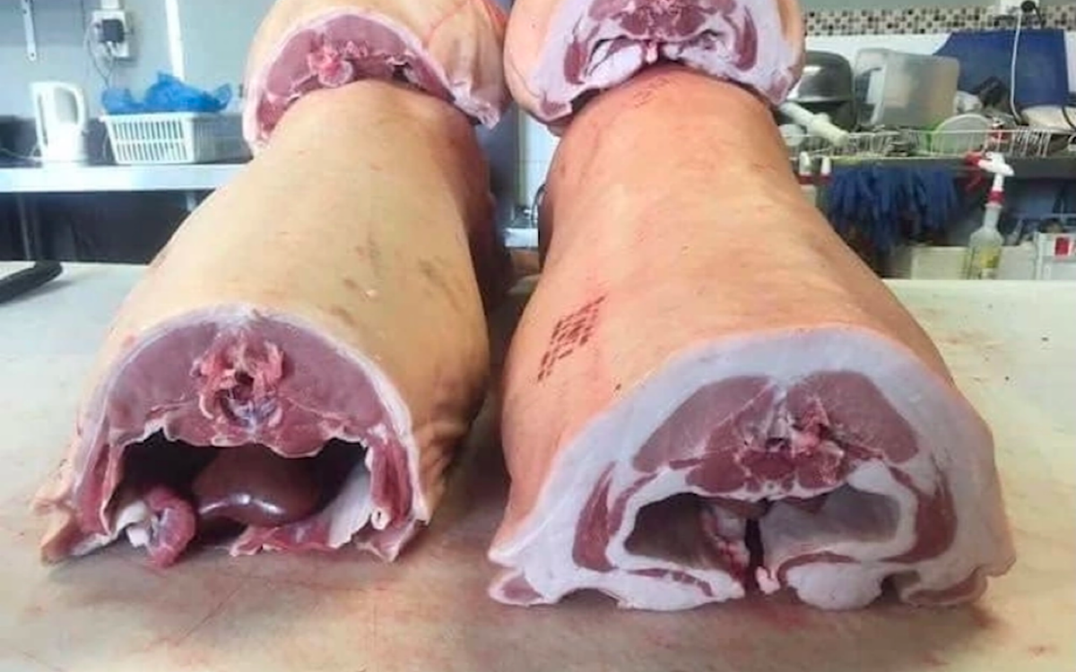 Справа зерновой откорм