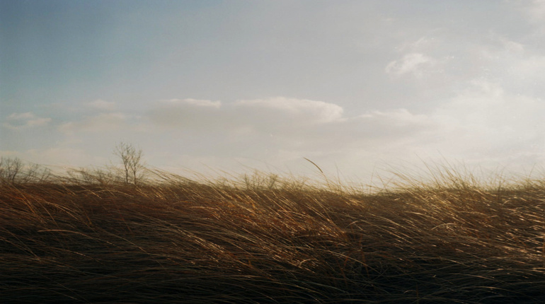 Фото: pexels.com