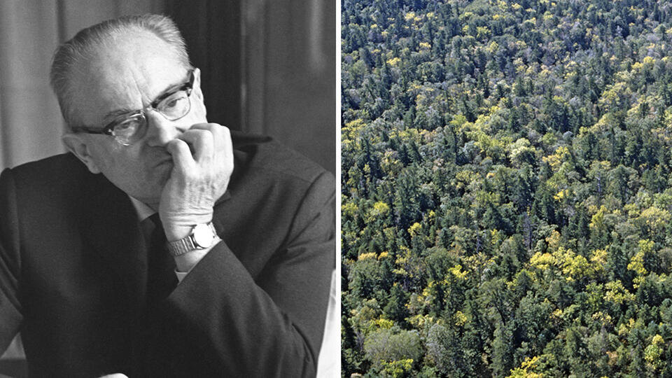     "Таежное проклятие": какой вирус убивал людей на Дальнем Востоке РИА Новости/Александр Лыскин, РИА Новости/В. Андреев