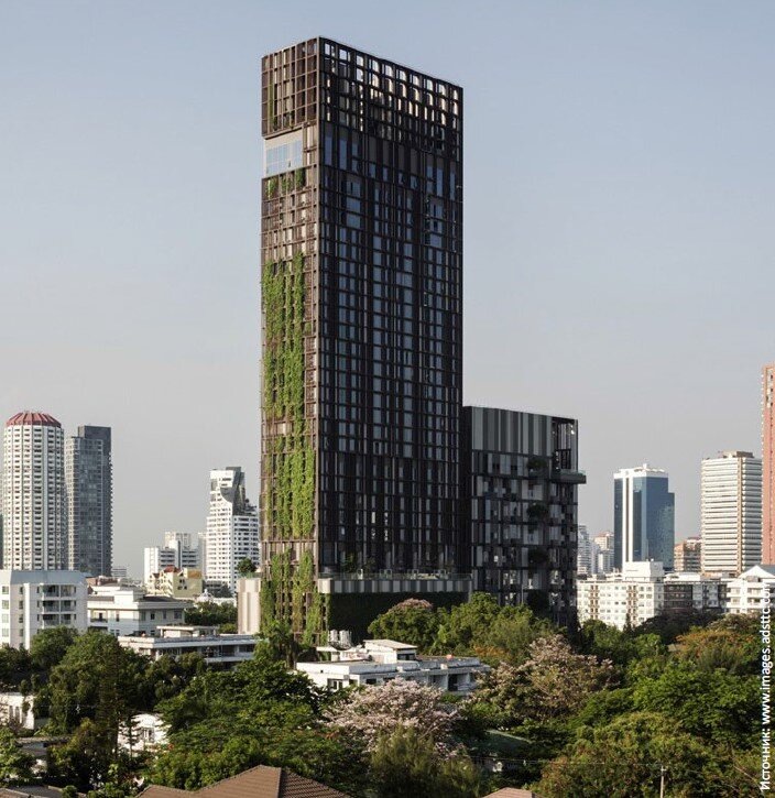 Озеленение высотного здания IDEO Morph 38 Tower (Бангкок, Таиланд)