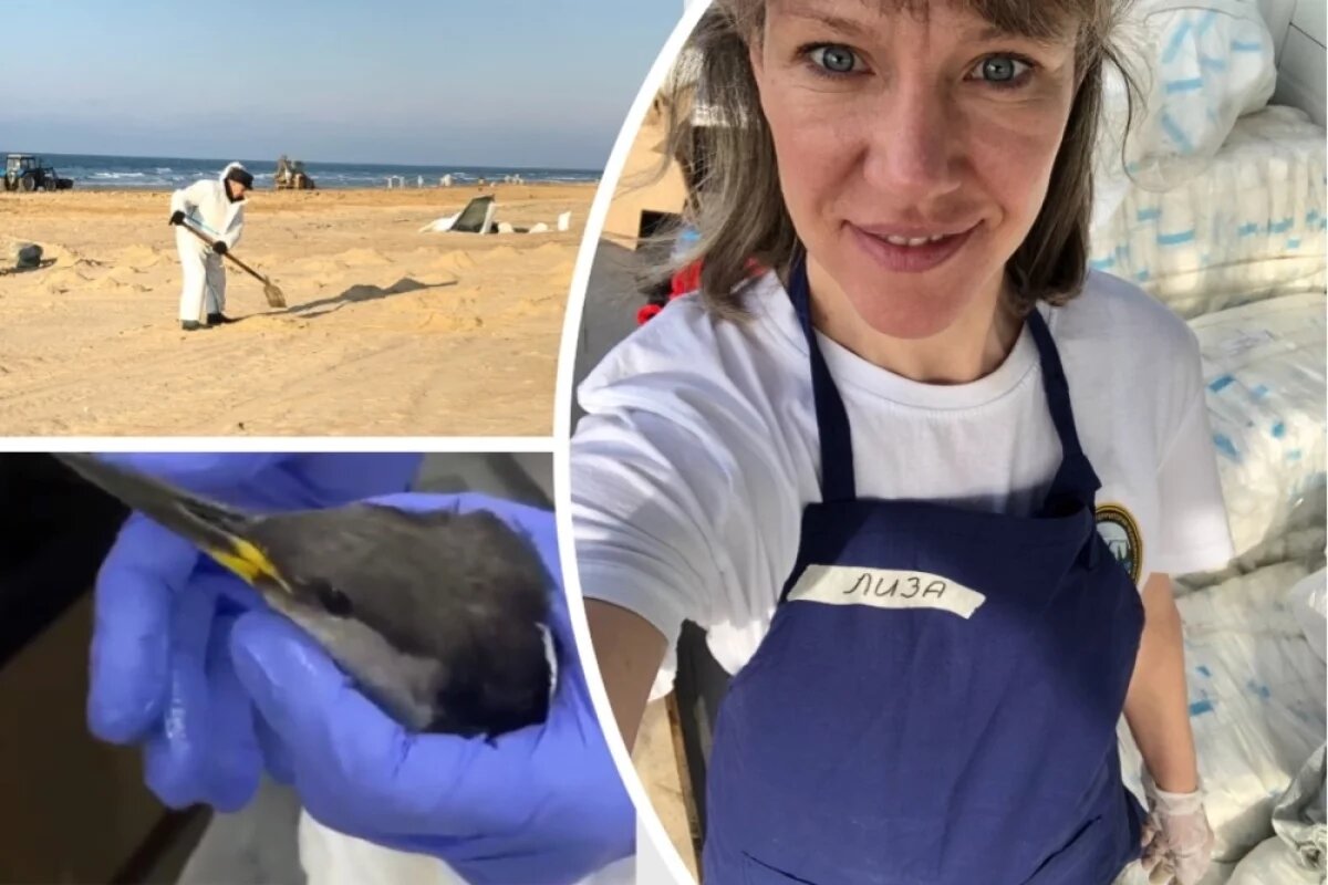    Новогодние каникулы Елизавета провела в Анапе, помогая ликвидировать последствия разлива нефтепродуктов