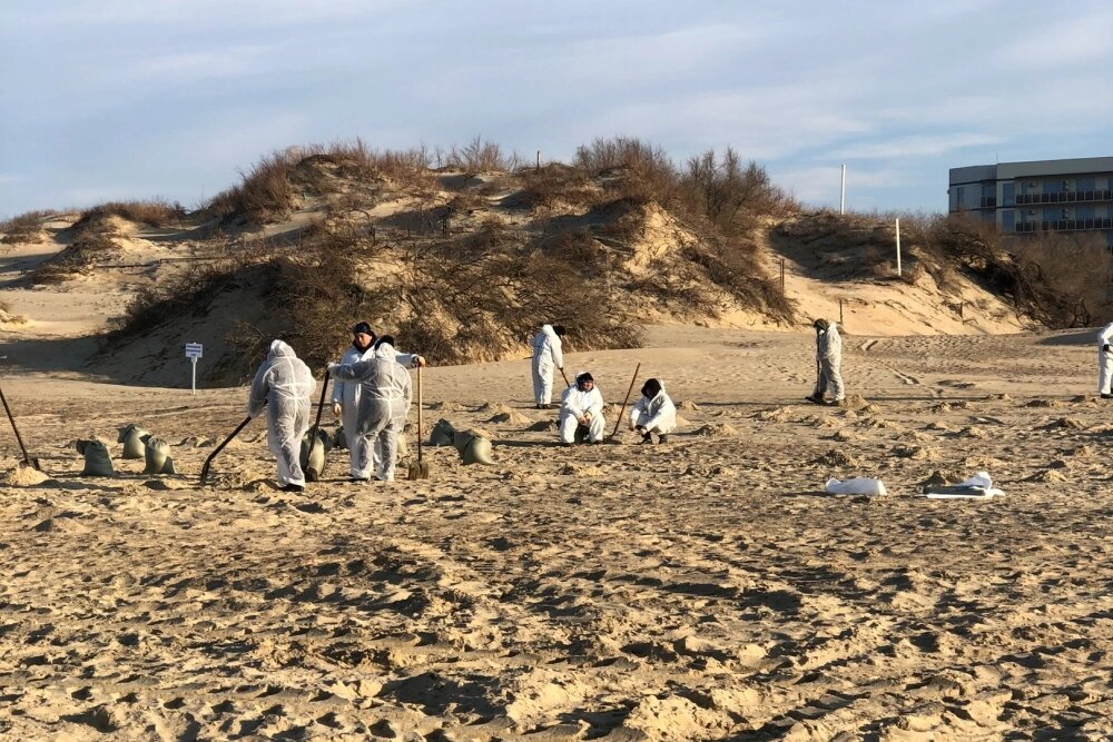    На пляжах работают с помощью техники и вручную. Фото: Из личного архива Елизаветы Маслий