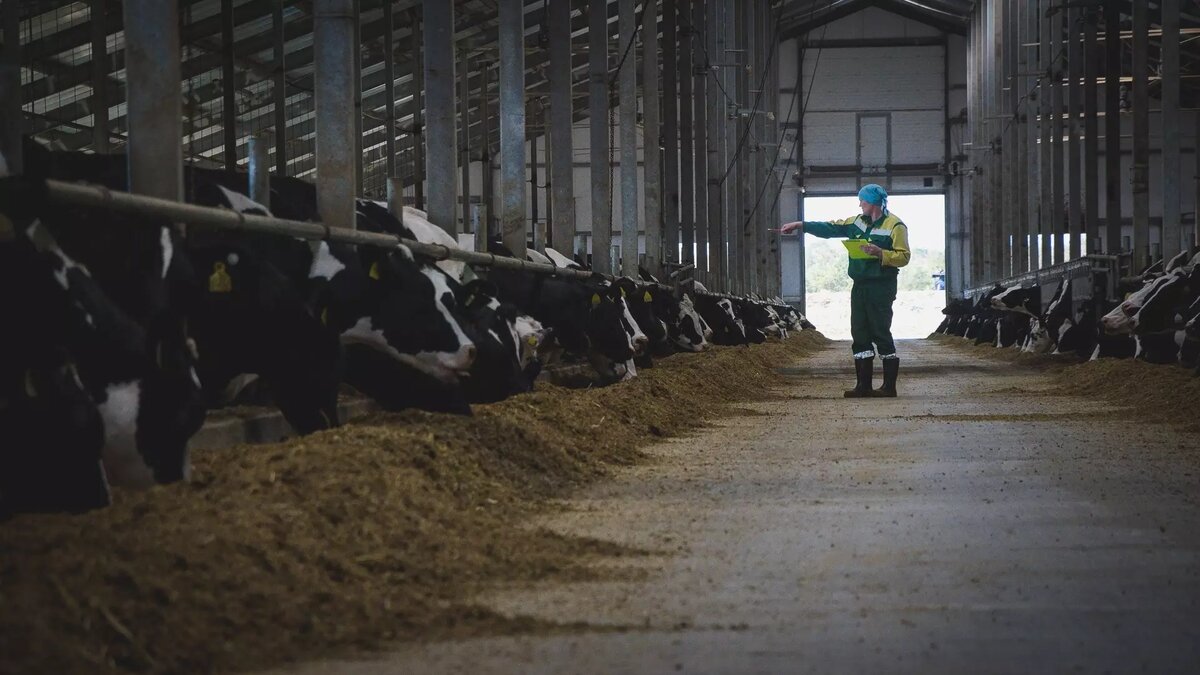     Источник: 1MI