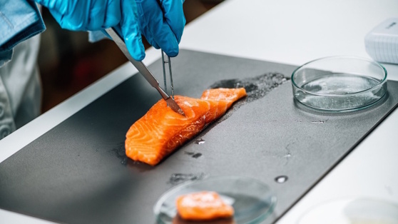    Россельхознадзор проверяет качество рыбы из Чёрного и Азовского морей после ЧП с танкерами Андрей Бурков