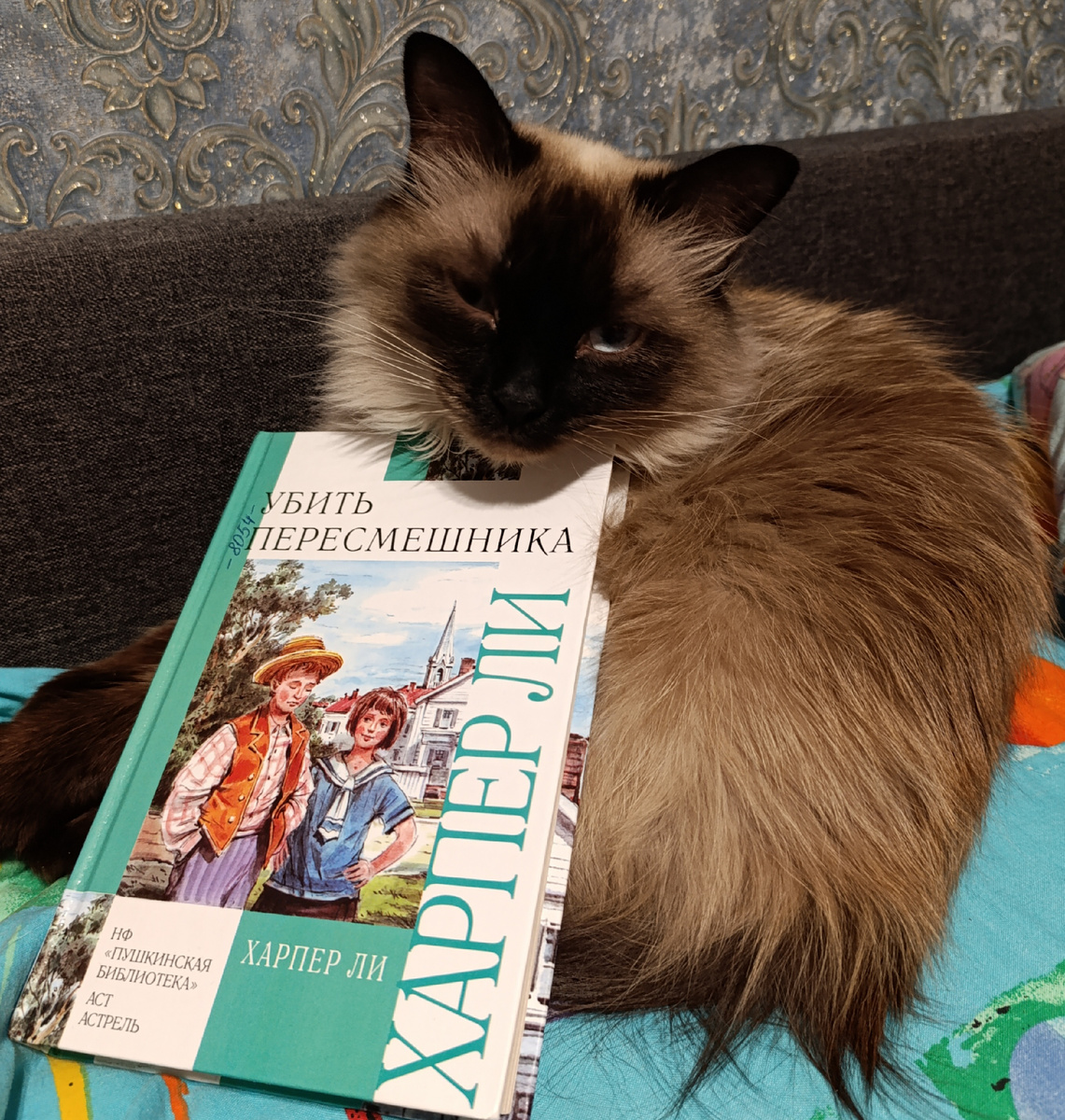 Сегодня читаемую книгу из школьной библиотеки представляет подмигивающая подписчикам Джессика