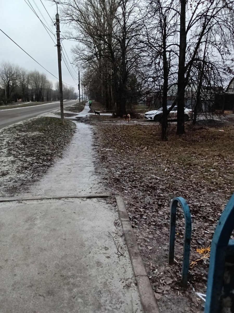 фото местной жительницы