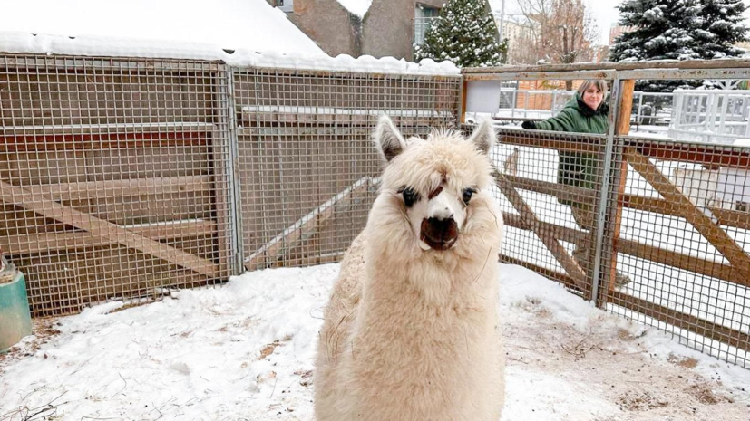    Пресс-служба Департамента культуры города Москвы