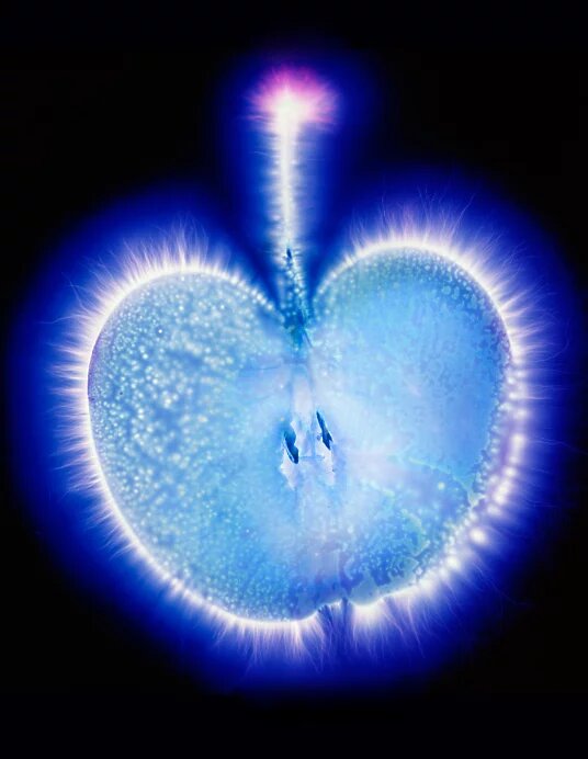 Источник: Яндекс.Картинки