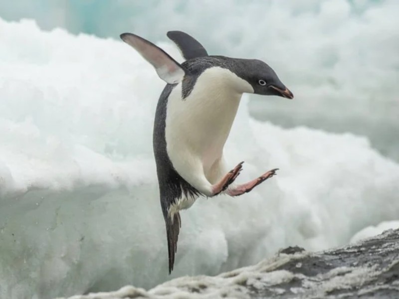    Не опять, а снова: обновление Microsoft чуть не сломало ядро Linux