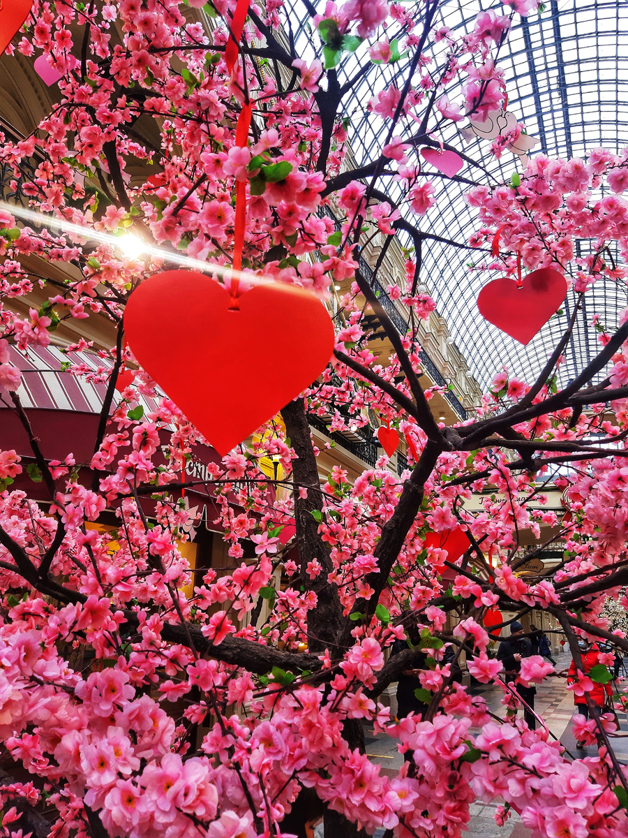 День святого Валентина в Москве 2025.  ГУМ.