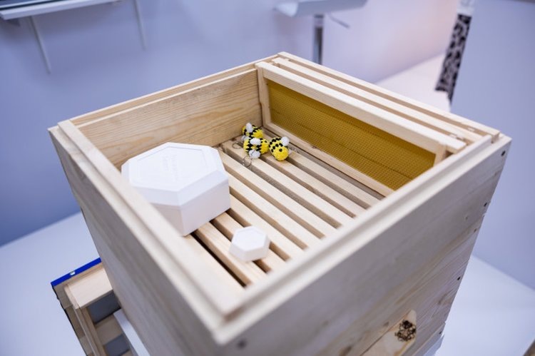    На Международном форуме ApiGlobal состоится презентация оптимизированного «Цифрового улья»