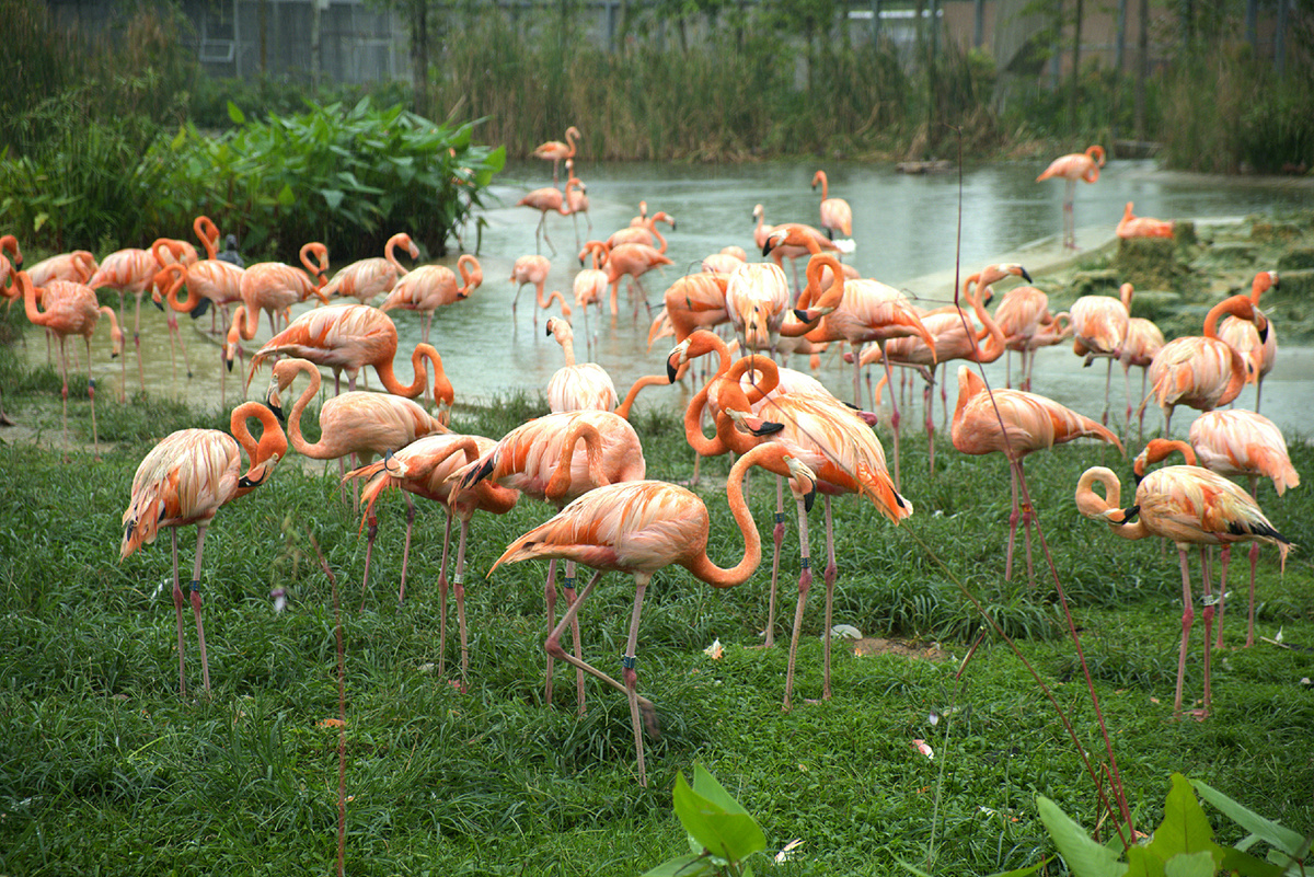 Картинка с бесплатного фотостока https://unsplash.com, автор Mel Lee