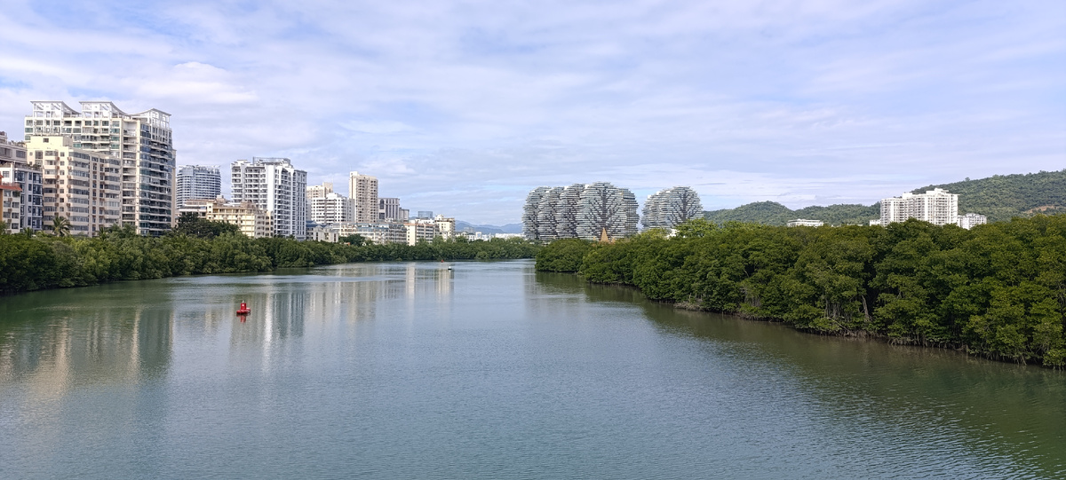 Деревья бывают разные, как цели инвестиций. 